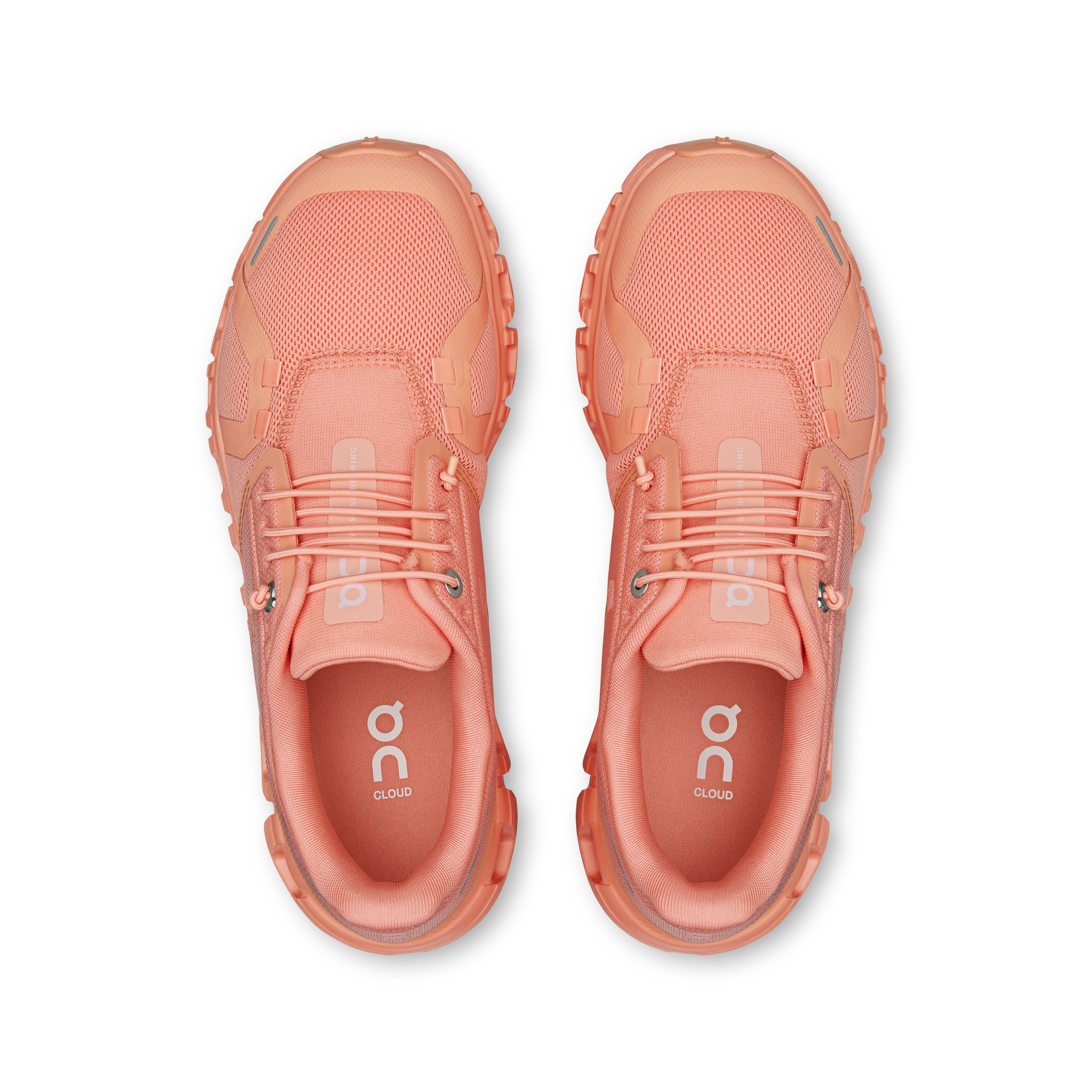 *NEW* Cloud 6 (Women)