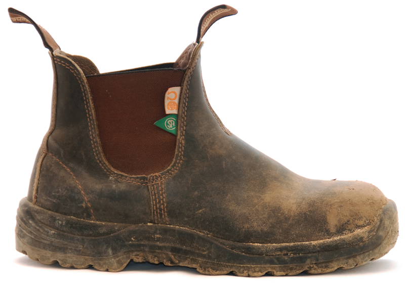 Blundstone #162 - CSA Greenpatch Boot (Stout Brown) worn